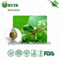 Resveratrol 50% Polygunom cuspidatum