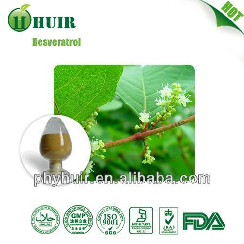 Resveratrol 98% Polygunom cuspidatum root extract