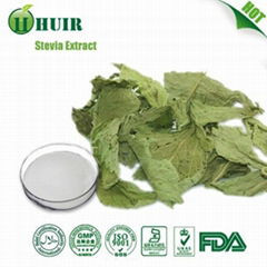 Stevia Leaf Powder Extract 90% Stevioside Sugar Substitute