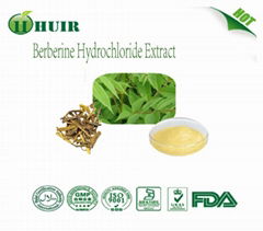 Berberine Hcl 97 percent by HPLC