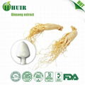 Red Ginseng stem leaf powder extract 80percent  ginsenosides 1