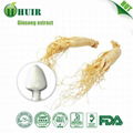 Red Ginseng stem leaf powder extract 80percent  ginsenosides