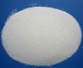 Hordenine Hcl 98% by HPLC powder extract 1