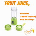 mini electric multifunction fruit juicer