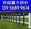直销江西赣州PVC绿化栅栏