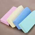 Beauty Facial Cleaning Sponge 4