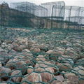 high quality galvanized gabion mesh  5