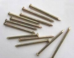 High quality steel concrete nails