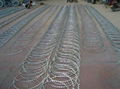 High quality hot dipped galvanized Razor barbed wire 1