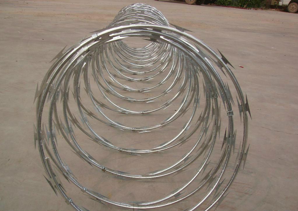 High quality hot dipped galvanized Razor barbed wire 5