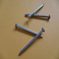 all sizes galvanized hardened steel concrete nails 4