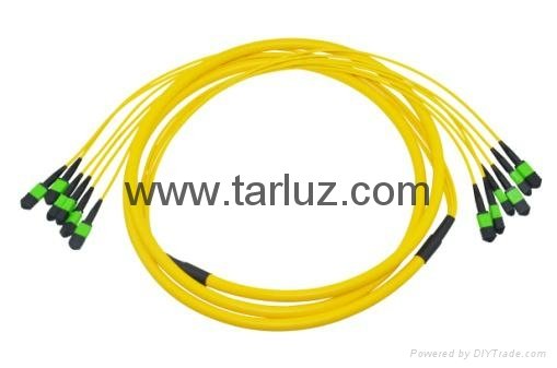 MTP/MPO Trunk cable