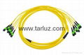 MTP/MPO Trunk cable