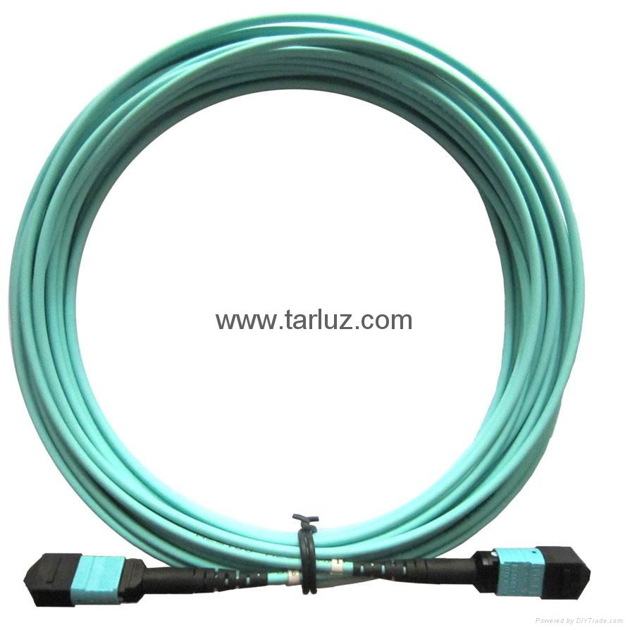MTP/MPO Trunk cable 2