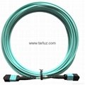 MTP/MPO Trunk cable