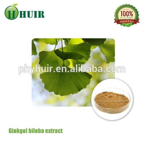 huir 100% naturalGinkgo Biloba Extract