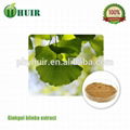 huir 100% naturalGinkgo Biloba Extract 1