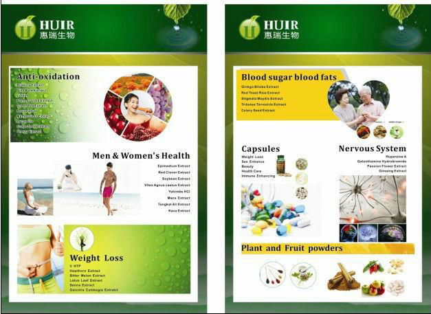 huir 100% naturalGinkgo Biloba Extract 4