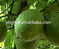 Luo Han Guo Extract, Monk Fruit Extract