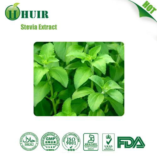 Stevia Extract