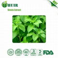 Stevia Extract 1