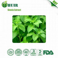 Stevia Extract