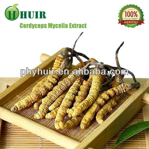 Huir high quality Cordyceps P.E. 3