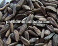 china 100% Pure natural high quality Burdock Seed P.E.