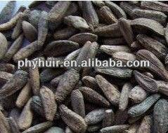 china 100% Pure natural high quality Burdock Seed P.E.