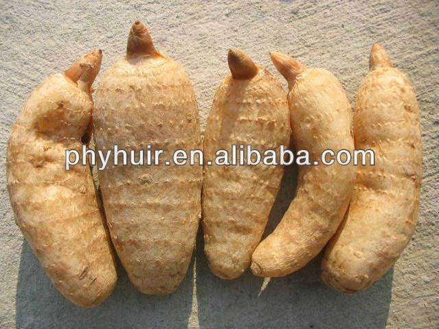 Pure natural Gastrodin Powder 80% Gastrodia Tuber Extract