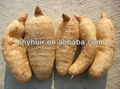 Pure natural Gastrodin Powder 80% Gastrodia Tuber Extract