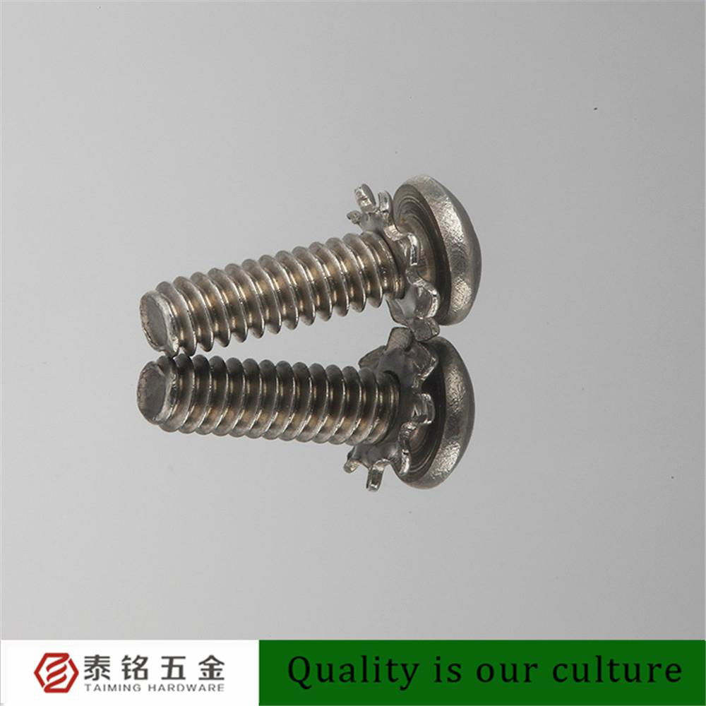 A2 Pan Head Cross Recess Flower Washer Screws Hardware Fastener