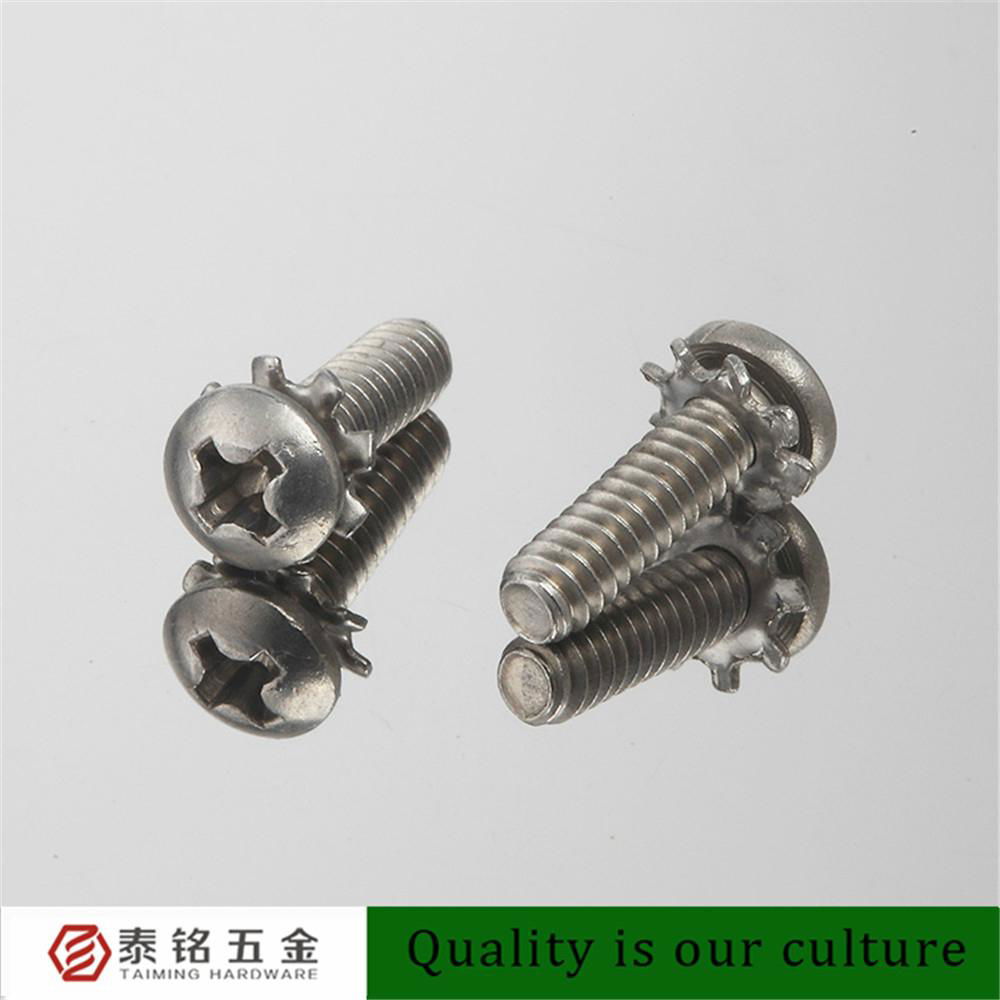 A2 Pan Head Cross Recess Flower Washer Screws Hardware Fastener 3