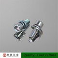 Colour Zinc Plated Hex Socket Cap Screws