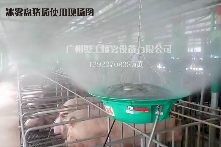 奧工廠家直銷專利降溫加濕消毒冰霧盤 2