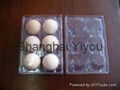 Bespoke Plastic Egg Tray from Shanghai YiYou