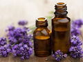 LAVENDER ESSENTIAL OIL