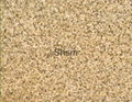 Giallo fiorito granite slabs prices 1