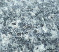 Pacific blue granites and slabs 1