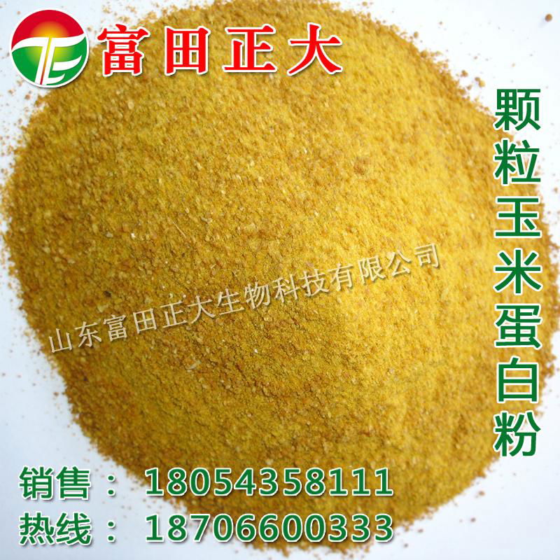 Granule Corn Gluten Meal  3