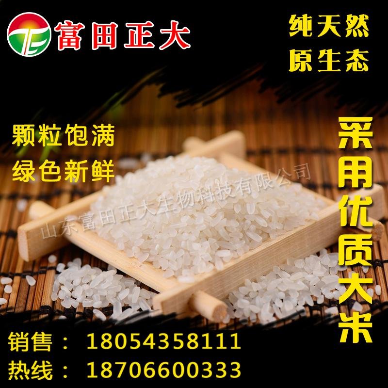 Puffed rice flour food grade 4
