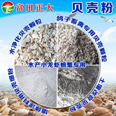 Shell powder