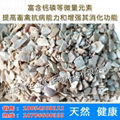 Shell powder 2