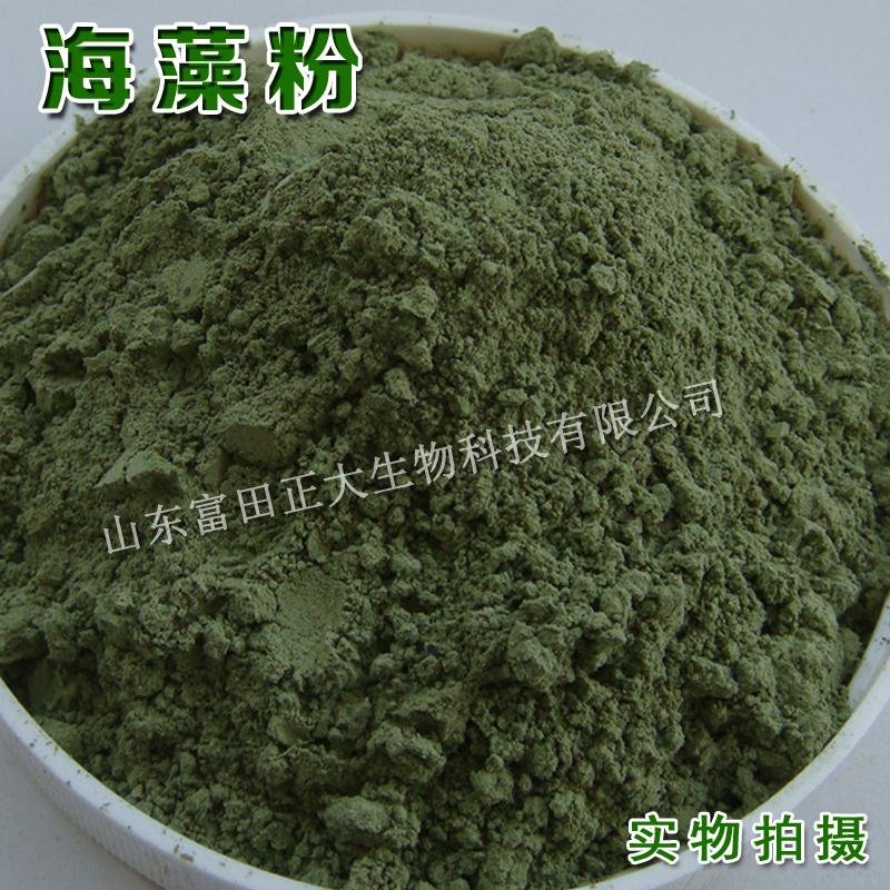 Seaweed powder 3