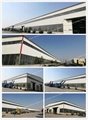 China high quality Dump  tipping Semi  truck Trailer Manufacture 5