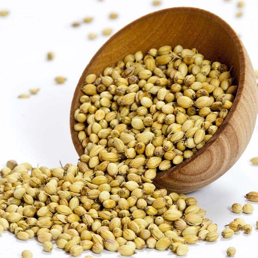Coriander seed (India Manufacturer) Spices Seasonings Processed