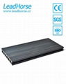 WPC outdoor decking co-extrusion