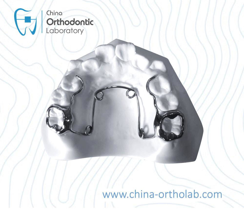 orthodontic appliance 2