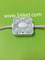 220V 110V led module easy install with Europe plug no need power supply  1