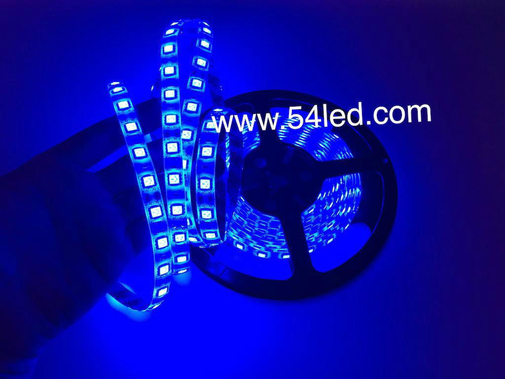 smd 5050 led strip super bright lumen low price high qualtiy 
